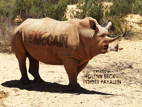 McCainRino?